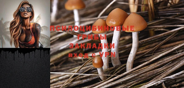 герыч Пестово