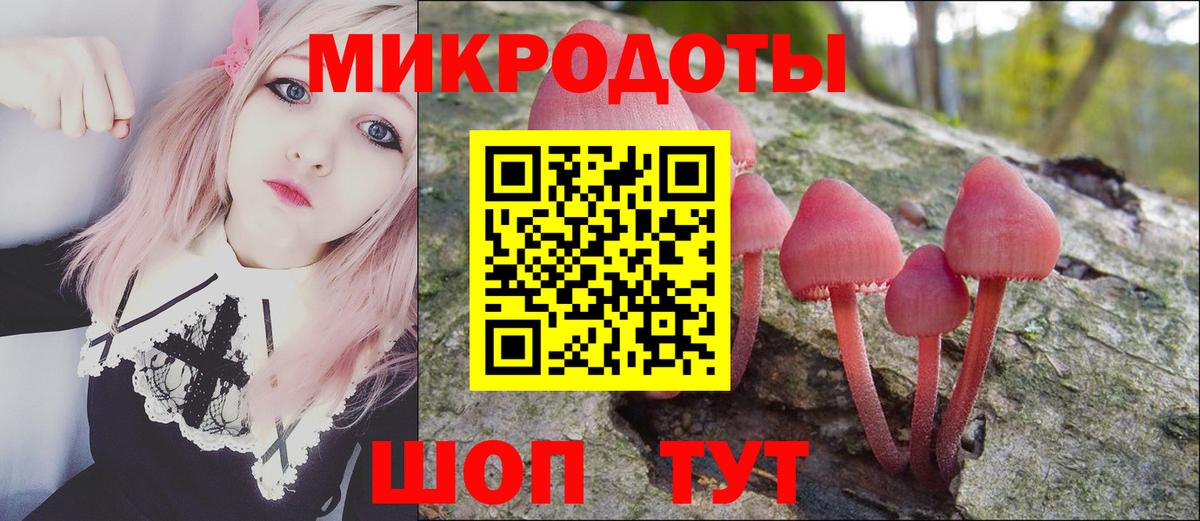 Псилоцибиновые грибы мицелий Великий Новгород