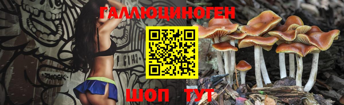 Псилоцибиновые грибы мухоморы  Галлюциногенные грибы MAGIC MUSHROOMS  Великий Новгород  где купить наркотик  Вход с VPN 